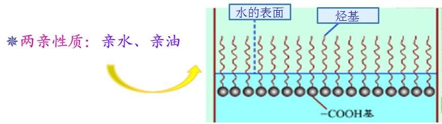 <a href='http://www.lianda-leather.com/product/product-0001,0011,0018.shtml' class='keys' title='點(diǎn)擊查看關(guān)于潤(rùn)濕劑的相關(guān)信息' target='_blank'>潤(rùn)濕劑</a>